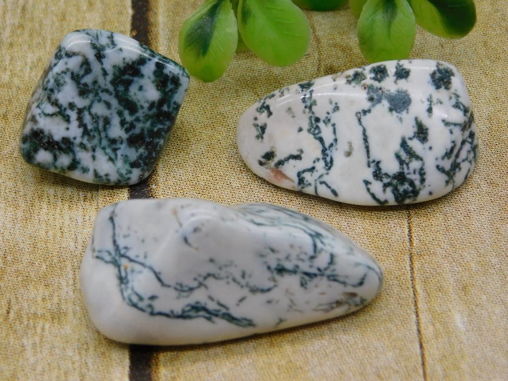 TREE AGATE ROCK STONE LAPIDARY SPECIMEN (1 of 2)