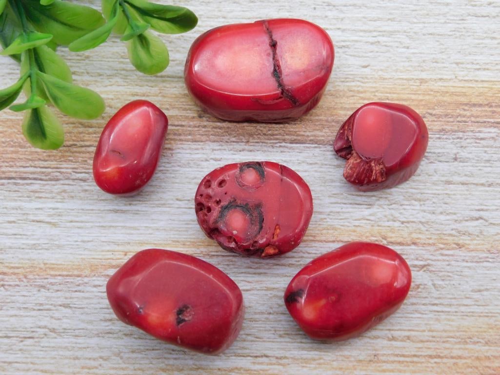 RED CORAL ROCK STONE LAPIDARY SPECIMEN: RED CORAL ROCK STONE LAPIDARY SPECIMEN