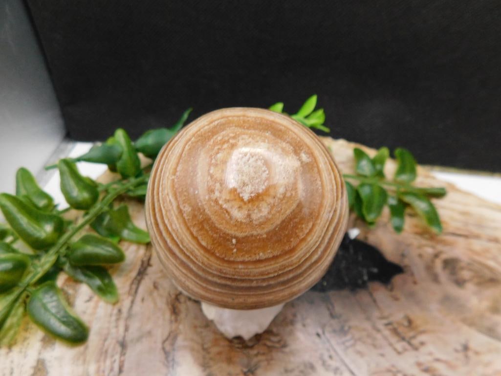 JEWELRY SALE! ROCK STONE LAPIDARY SPECIMEN: JEWELRY SALE! ROCK STONE LAPIDARY SPECIMEN