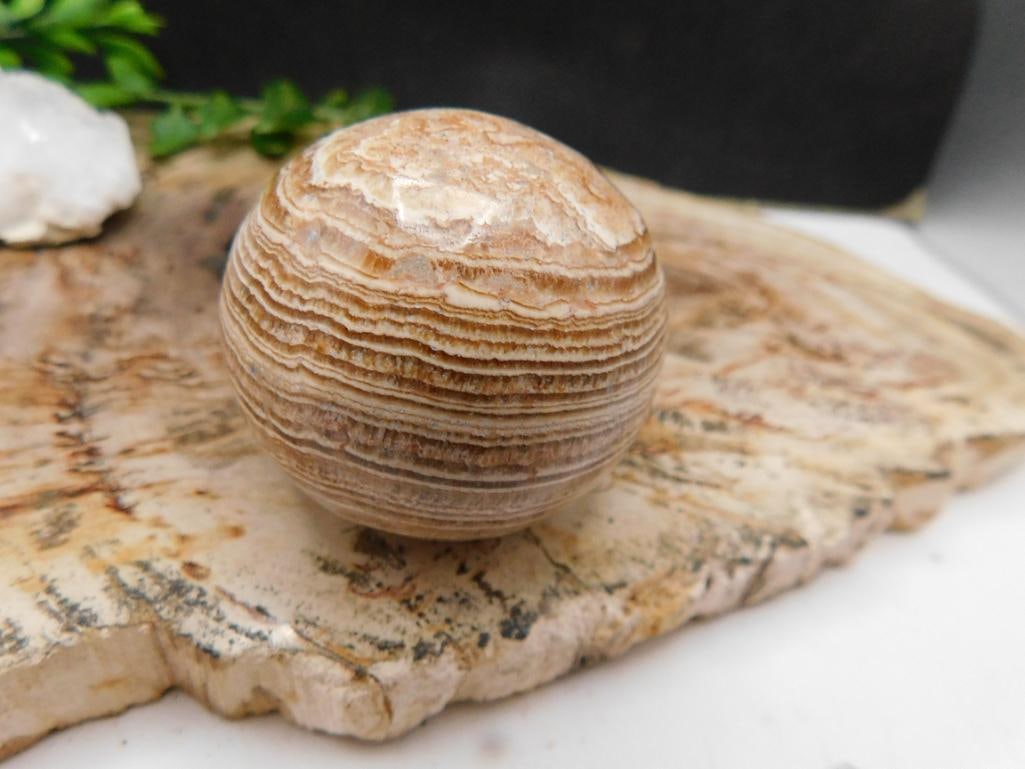 JEWELRY SALE! ROCK STONE LAPIDARY SPECIMEN: JEWELRY SALE! ROCK STONE LAPIDARY SPECIMEN