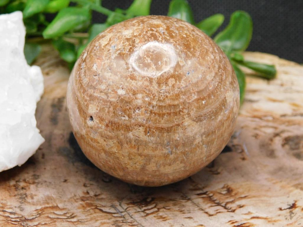 JEWELRY SALE! ROCK STONE LAPIDARY SPECIMEN (1 of 2)