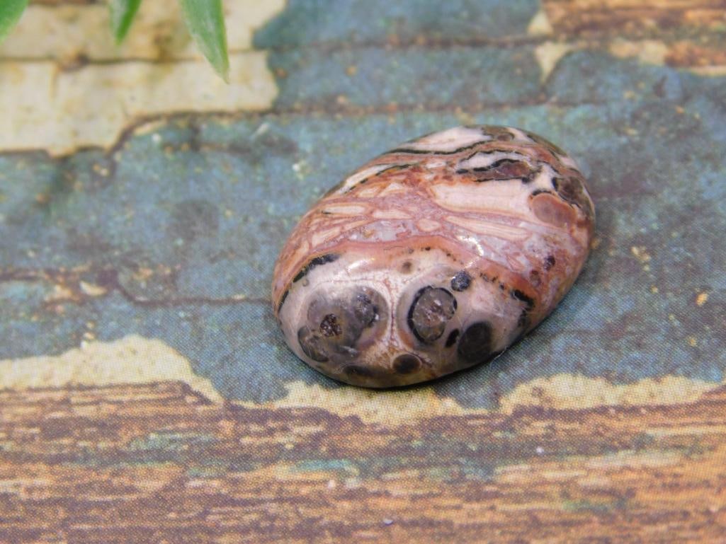 JEWELRY SALE! ROCK STONE LAPIDARY SPECIMEN: JEWELRY SALE! ROCK STONE LAPIDARY SPECIMEN