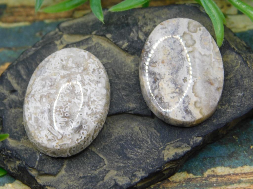 JEWELRY SALE! ROCK STONE LAPIDARY SPECIMEN: JEWELRY SALE! ROCK STONE LAPIDARY SPECIMEN