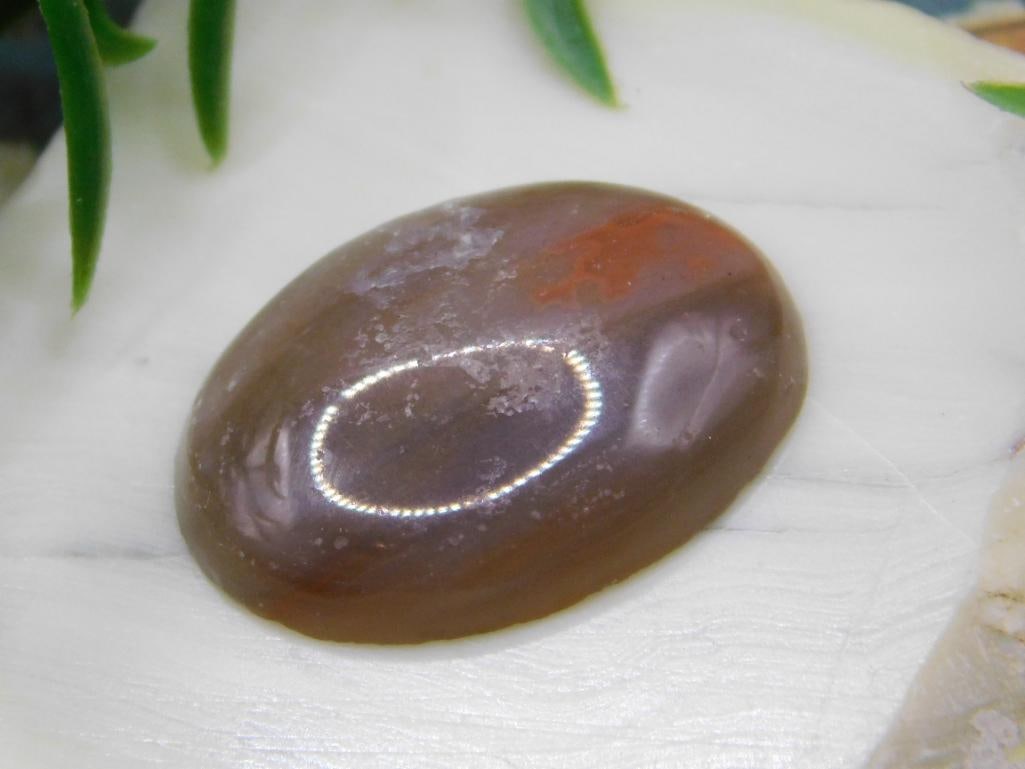 JEWELRY SALE! ROCK STONE LAPIDARY SPECIMEN: JEWELRY SALE! ROCK STONE LAPIDARY SPECIMEN