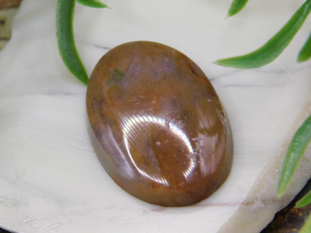 JEWELRY SALE! ROCK STONE LAPIDARY SPECIMEN (1 of 2)