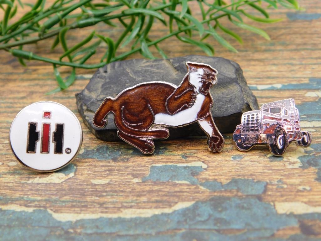 JEWELRY SALE! ROCK STONE LAPIDARY SPECIMEN: JEWELRY SALE! ROCK STONE LAPIDARY SPECIMEN