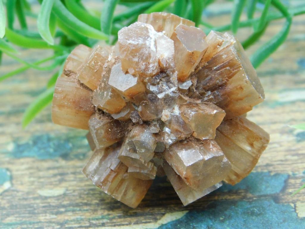 JEWELRY SALE! ROCK STONE LAPIDARY SPECIMEN: JEWELRY SALE! ROCK STONE LAPIDARY SPECIMEN