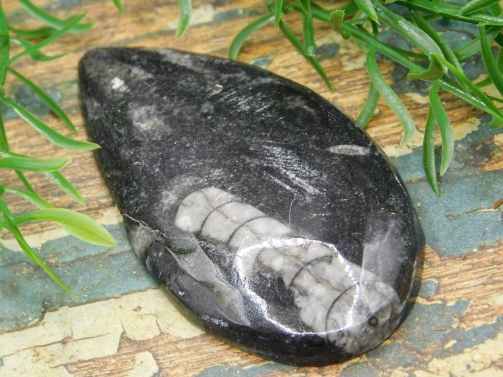JEWELRY SALE! ROCK STONE LAPIDARY SPECIMEN (1 of 2)