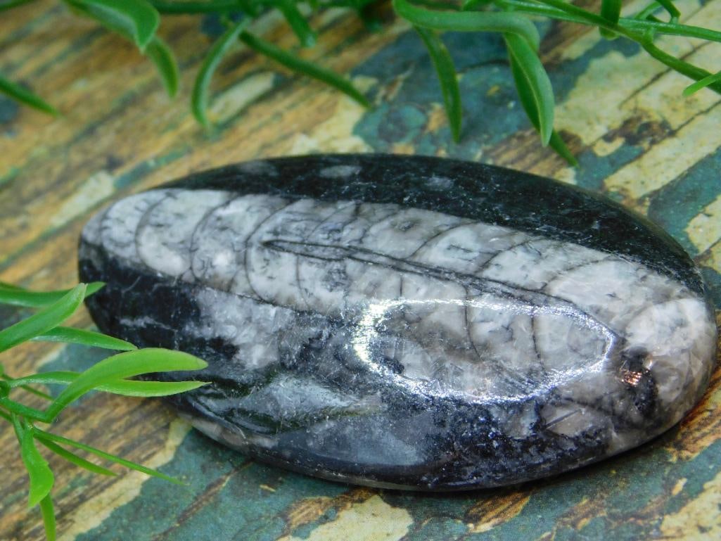 JEWELRY SALE! ROCK STONE LAPIDARY SPECIMEN (1 of 2)