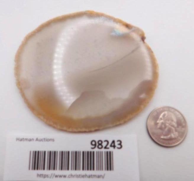 AGATE SLICE ROCK STONE LAPIDARY SPECIMEN - 2