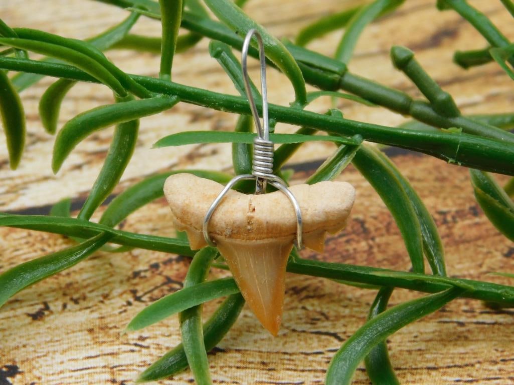 SPECIAL JEWELRY SALE! SEE PHOTOS FOR DETAILS: SPECIAL JEWELRY SALE! SEE PHOTOS FOR DETAILS