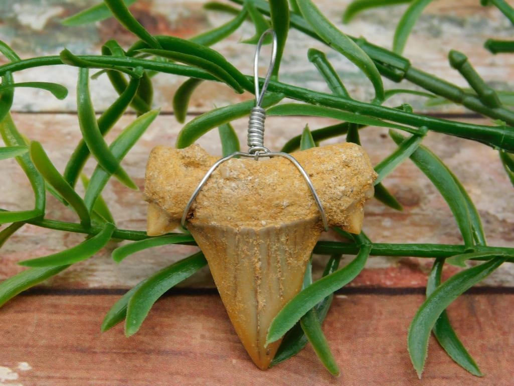 SPECIAL JEWELRY SALE! SEE PHOTOS FOR DETAILS: SPECIAL JEWELRY SALE! SEE PHOTOS FOR DETAILS