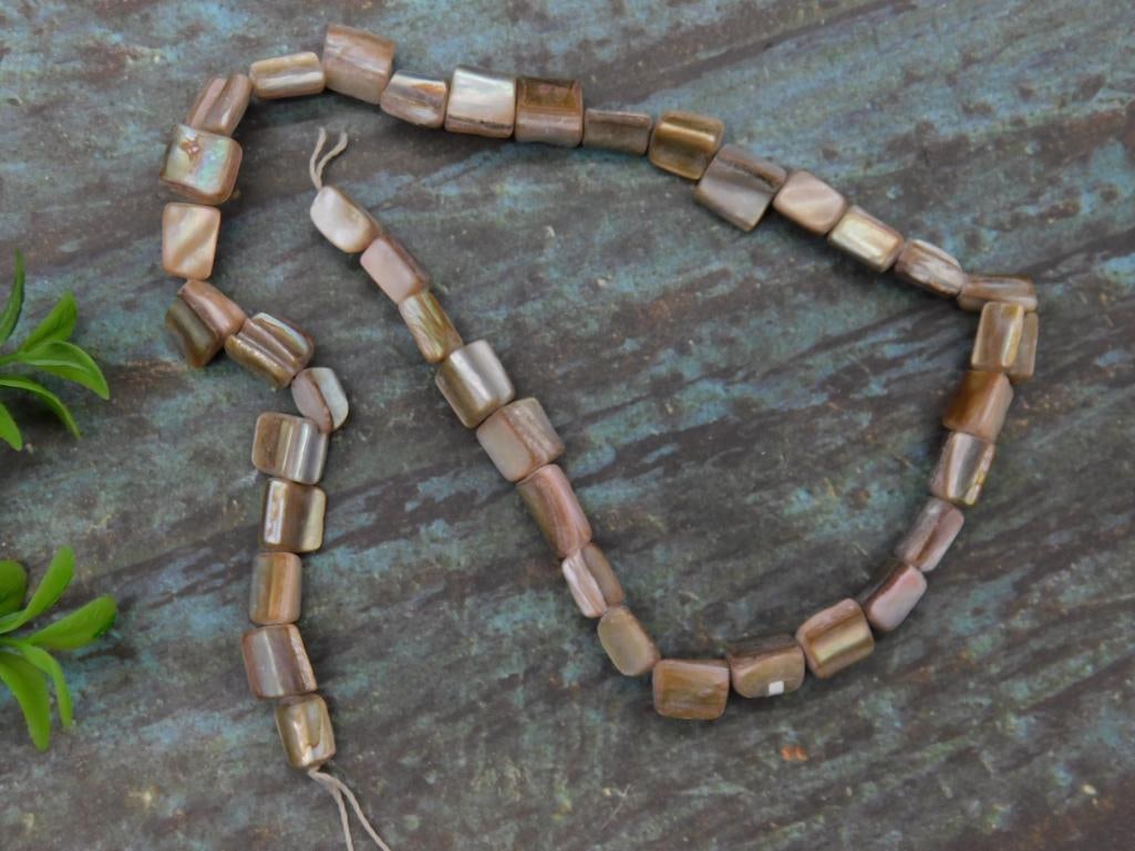 SHELL BEADS ROCK STONE LAPIDARY SPECIMEN: SHELL BEADS ROCK STONE LAPIDARY SPECIMEN