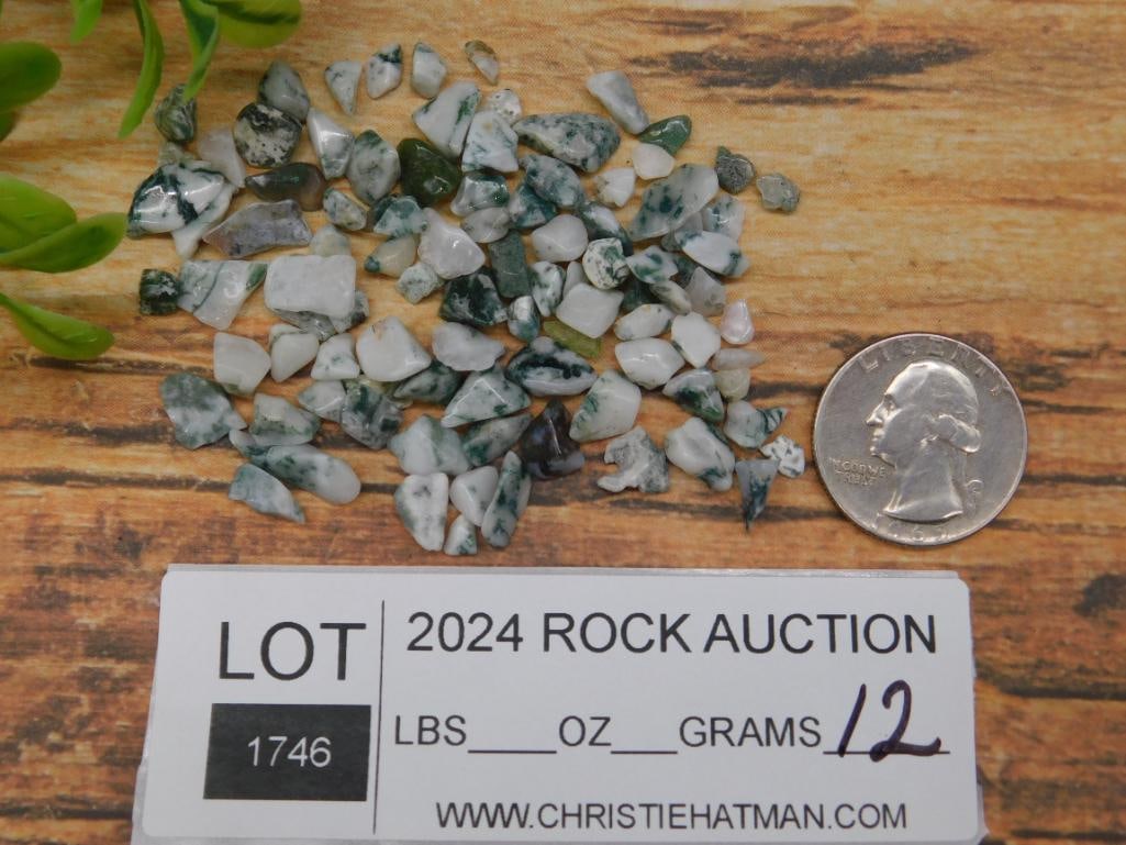 TREE AGATE ROCK STONE LAPIDARY SPECIMEN - 3