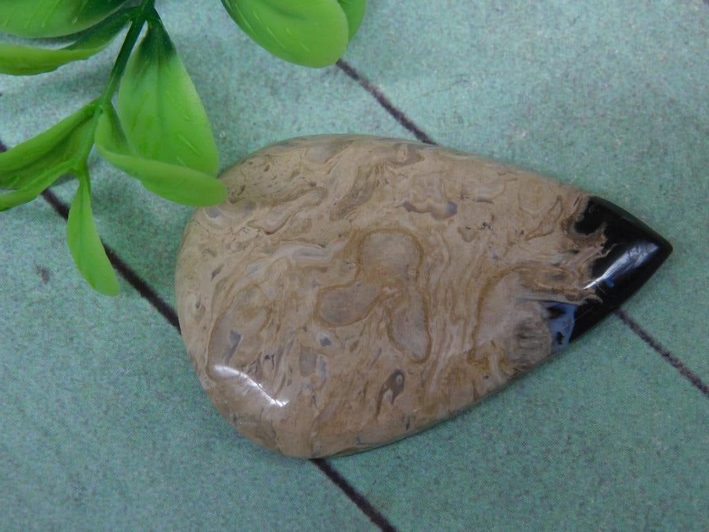 PETRIFIED PALM WOOD CABOCHON ROCK STONE LAPIDARY SPECIMEN: PETRIFIED PALM WOOD CABOCHON ROCK STONE LAPIDARY SPECIMEN