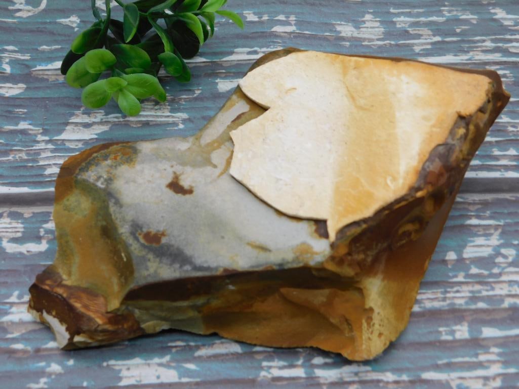 JASPER ROCK STONE LAPIDARY SPECIMEN (1 of 2)