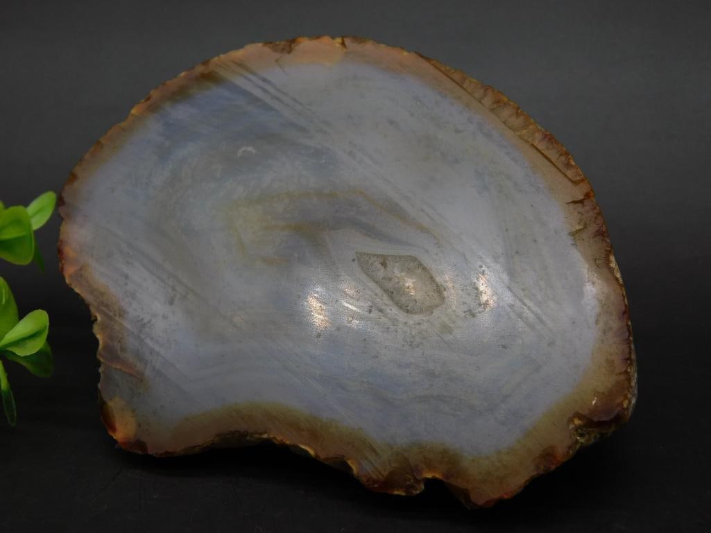 AGATE SLICE ROCK STONE LAPIDARY SPECIMEN: AGATE SLICE ROCK STONE LAPIDARY SPECIMEN