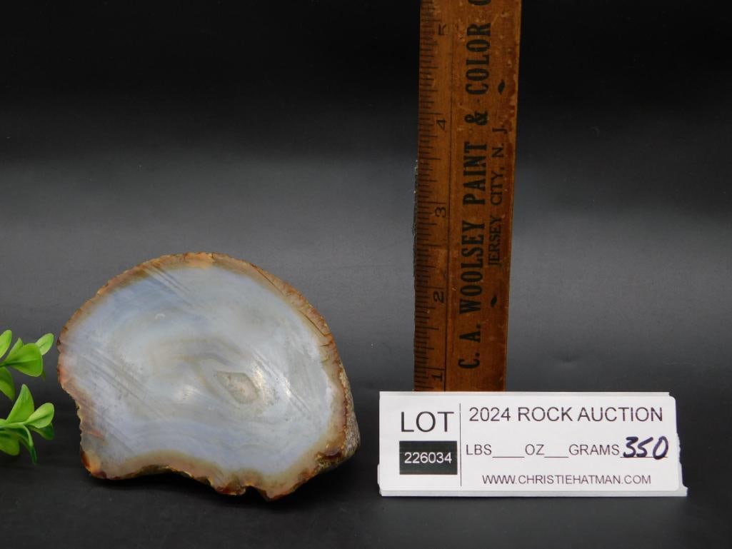 AGATE SLICE ROCK STONE LAPIDARY SPECIMEN - 2