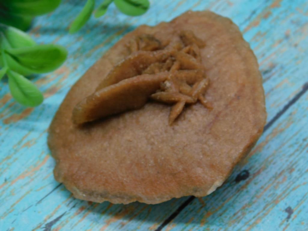 DESERT ROSE ROCK STONE LAPIDARY SPECIMEN (1 of 2)