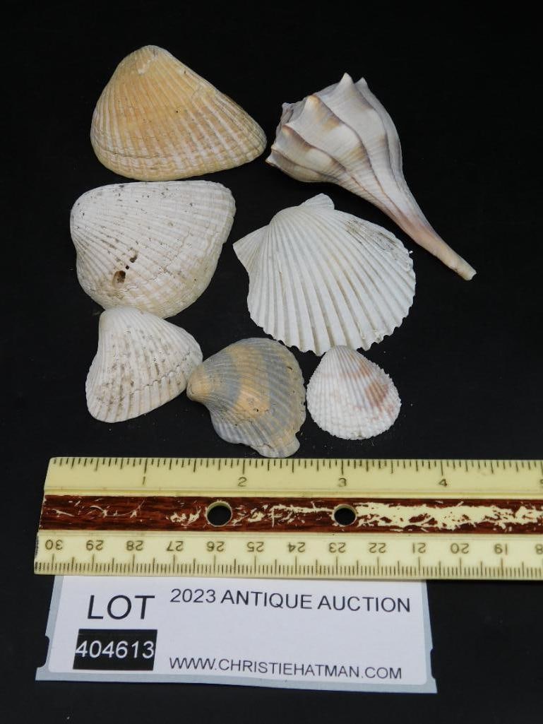 SHELL LOT - 2
