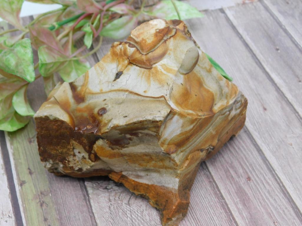 JASPER ROCK STONE LAPIDARY SPECIMEN (1 of 2)