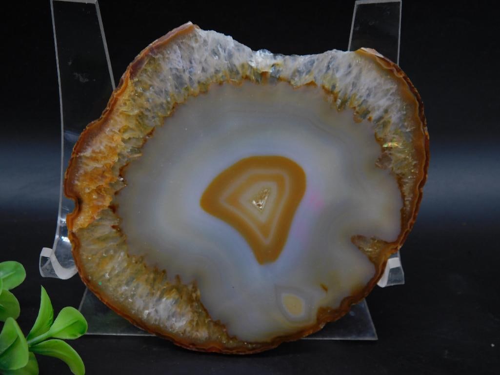 AGATE SLICE ROCK STONE LAPIDARY SPECIMEN (1 of 2)