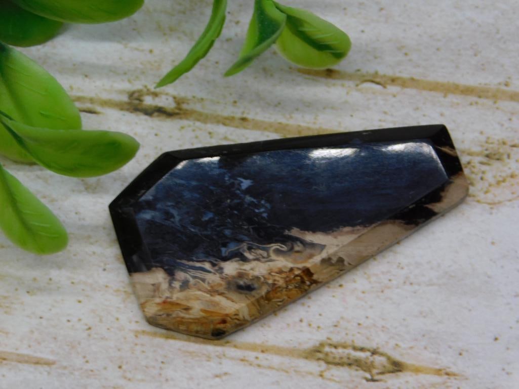 PETRIFIED PALM WOOD CABOCHON ROCK STONE LAPIDARY SPECIMEN: PETRIFIED PALM WOOD CABOCHON ROCK STONE LAPIDARY SPECIMEN