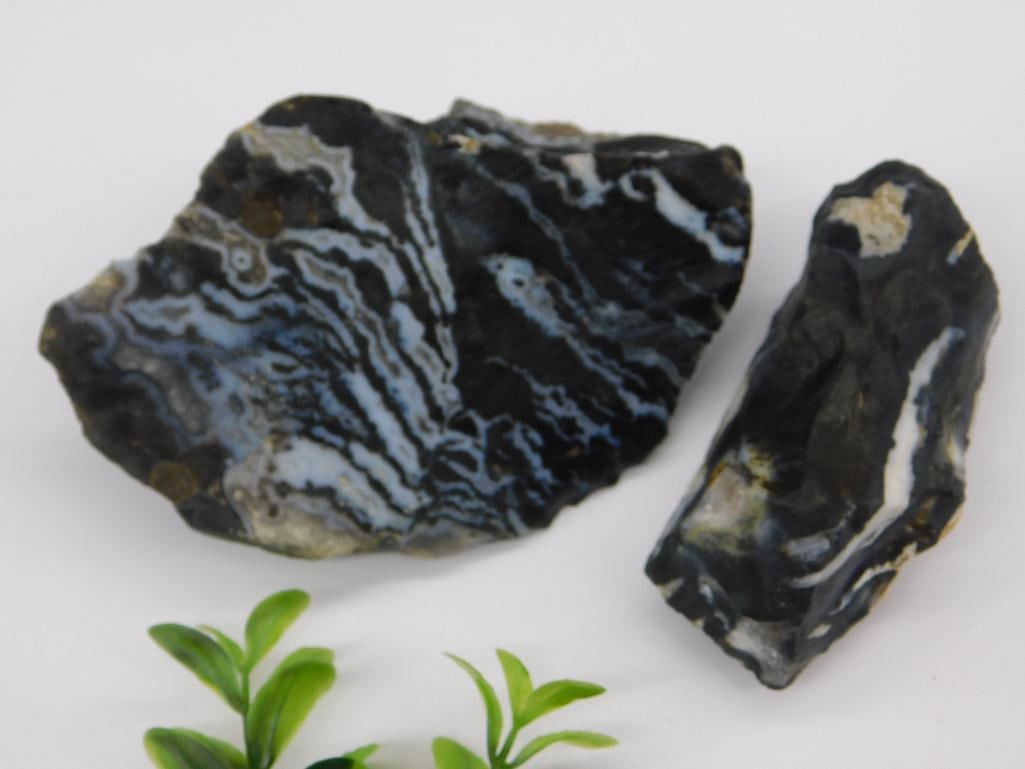 Zebra Rock Stone Lapidary Specimen: Zebra Rock Stone Lapidary Specimen