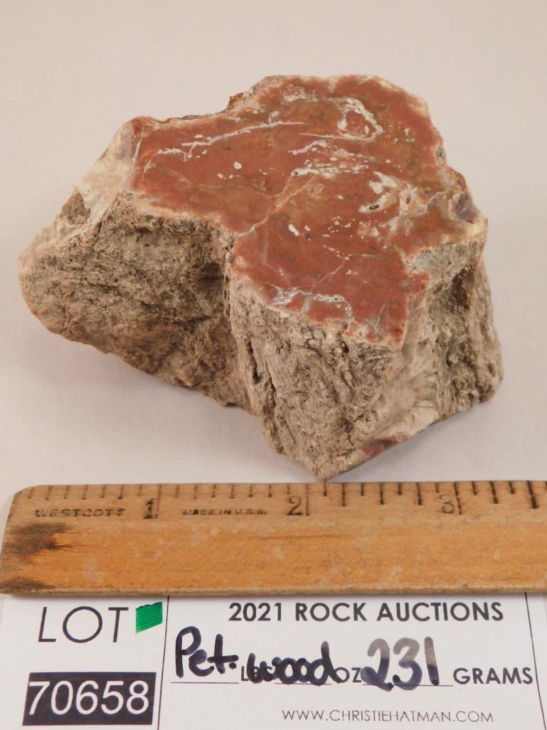 PETRIFIED WOOD ROCK STONE LAPIDARY SPECIMEN - 2