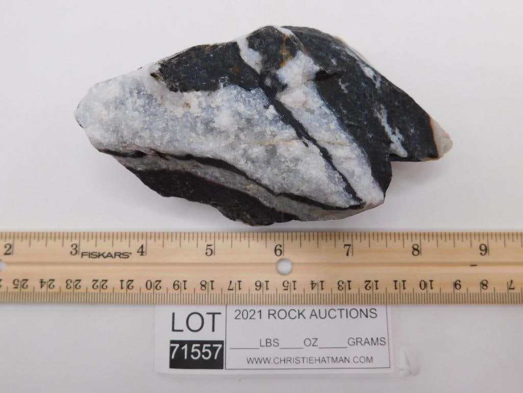 ZEBRA ROCK STONE LAPIDARY SPECIMEN - 3