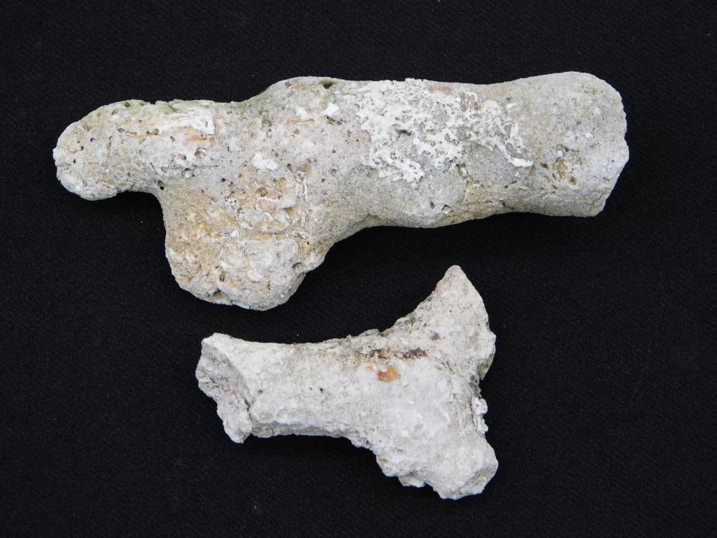 AGATIZED QUARTZ ROCK STONE LAPIDARY SPECIMEN: AGATIZED QUARTZ ROCK STONE LAPIDARY SPECIMEN