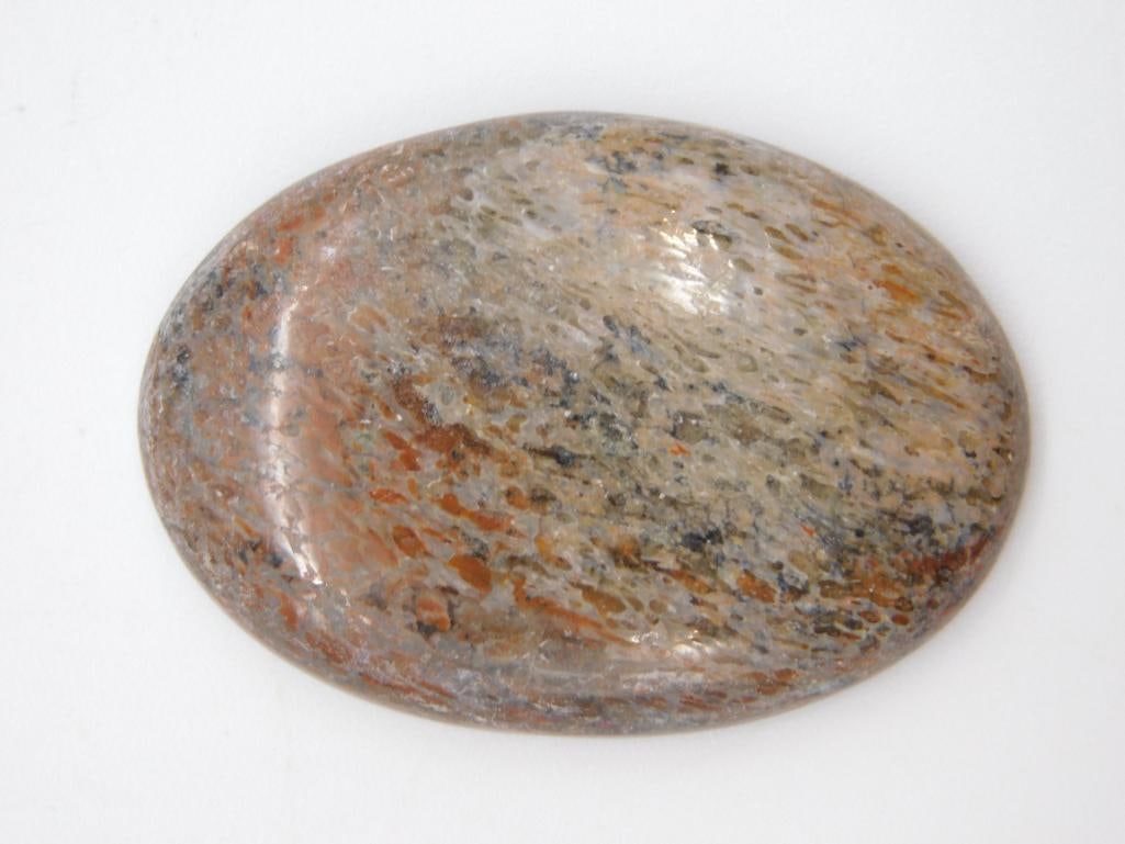DINOSAUR BONE CABOCHON ROCK STONE LAPIDARY SPECIMEN (1 of 2)