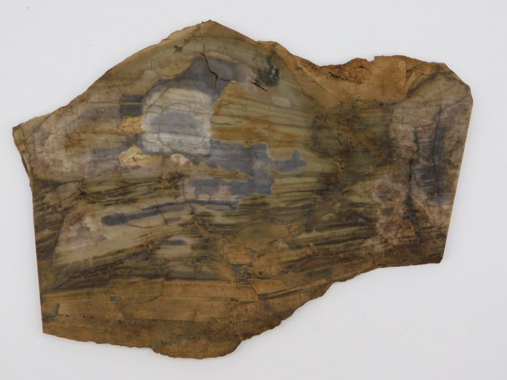 ROCK STONE LAPIDARY SPECIMEN: ROCK STONE LAPIDARY SPECIMEN