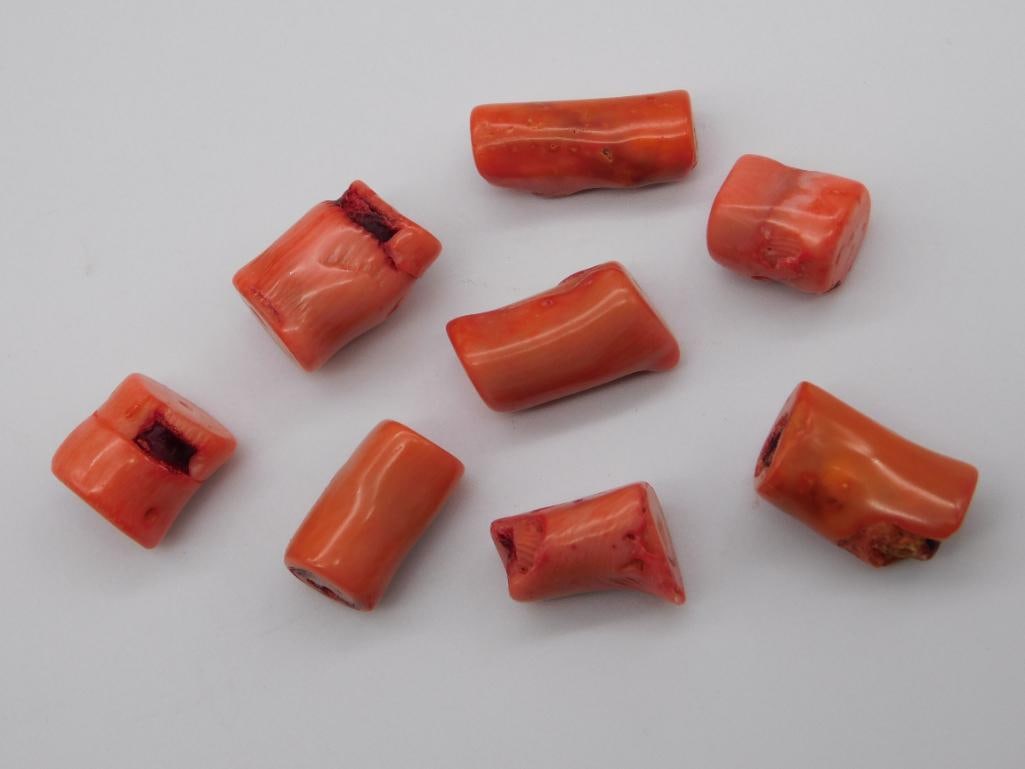 RED CORAL ROCK STONE LAPIDARY SPECIMEN: RED CORAL ROCK STONE LAPIDARY SPECIMEN