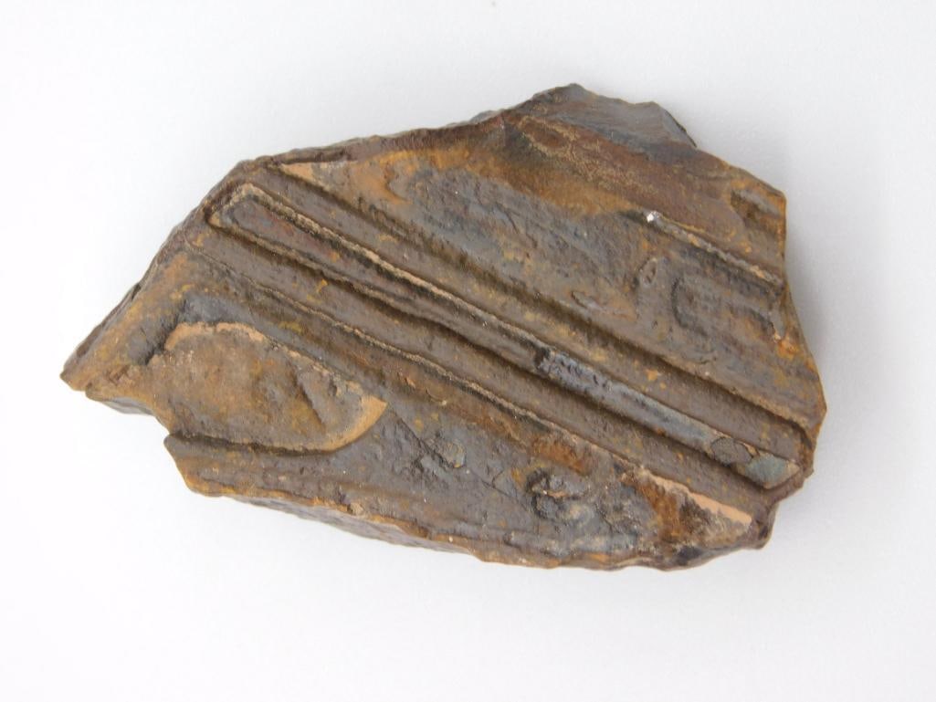 STROMATOLITE ROCK STONE LAPIDARY SPECIMEN: STROMATOLITE ROCK STONE LAPIDARY SPECIMEN