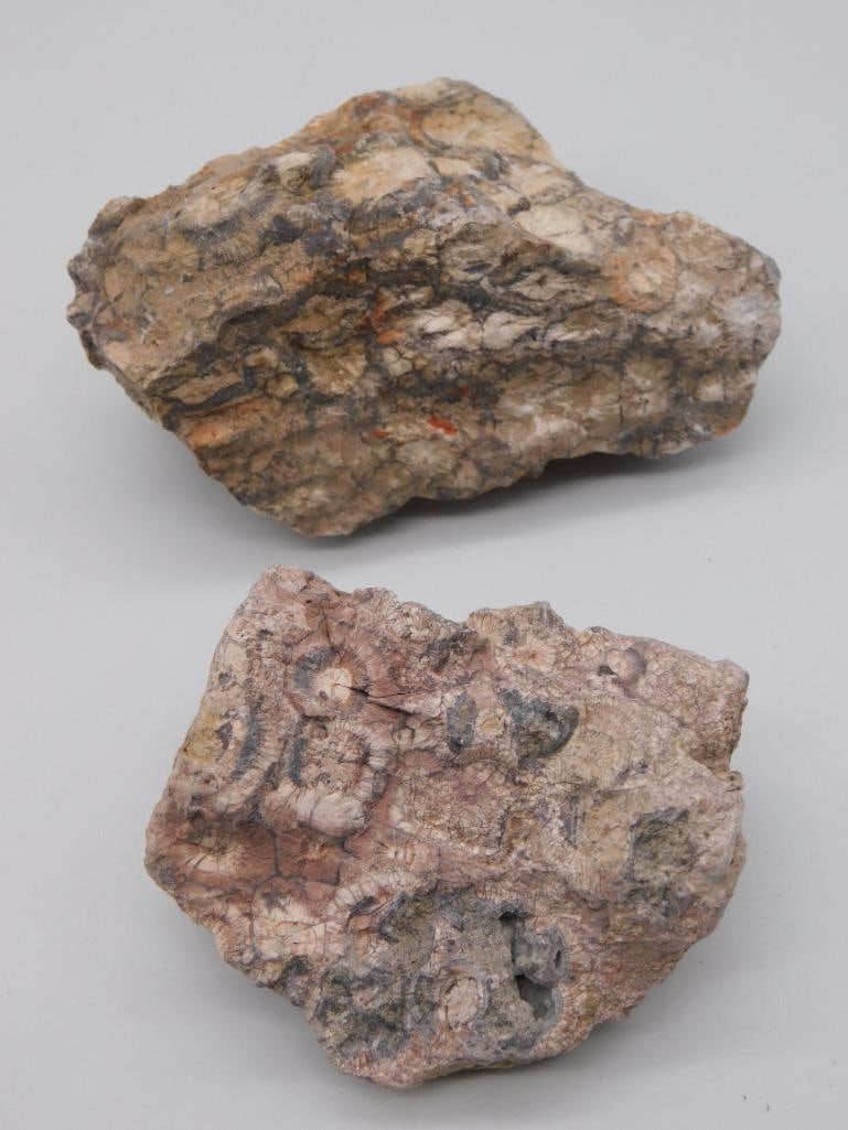 RHYOLITE ROCK STONE LAPIDARY SPECIMEN (1 of 2)