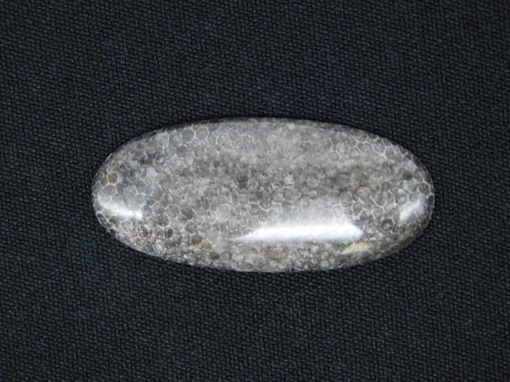 BLACK CORAL CABOCHON ROCK STONE LAPIDARY SPECIMEN: BLACK CORAL CABOCHON ROCK STONE LAPIDARY SPECIMEN