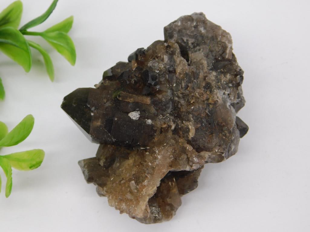 Rock Stone Lapidary Specimen: Rock Stone Lapidary Specimen