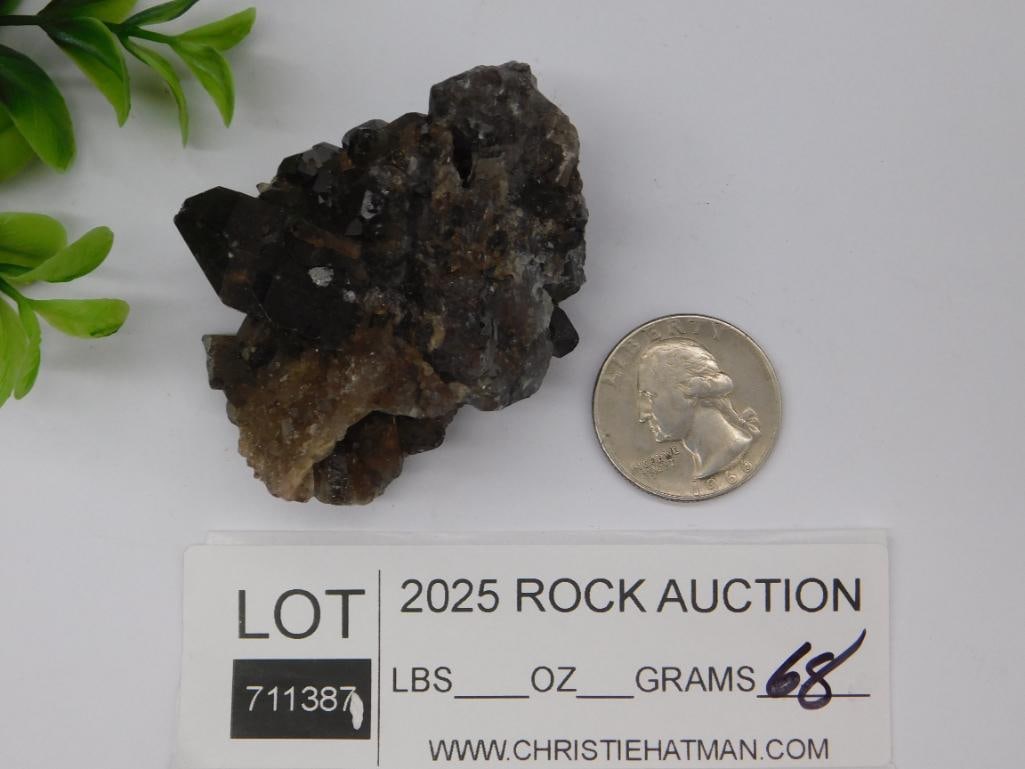 Rock Stone Lapidary Specimen - 2