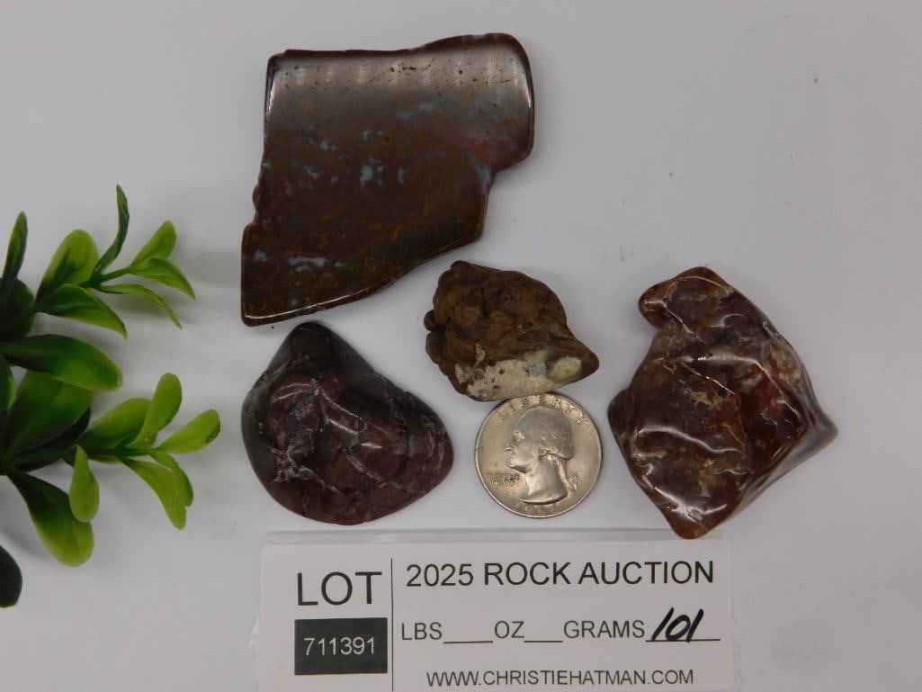 Rock Stone Lapidary Specimen - 2