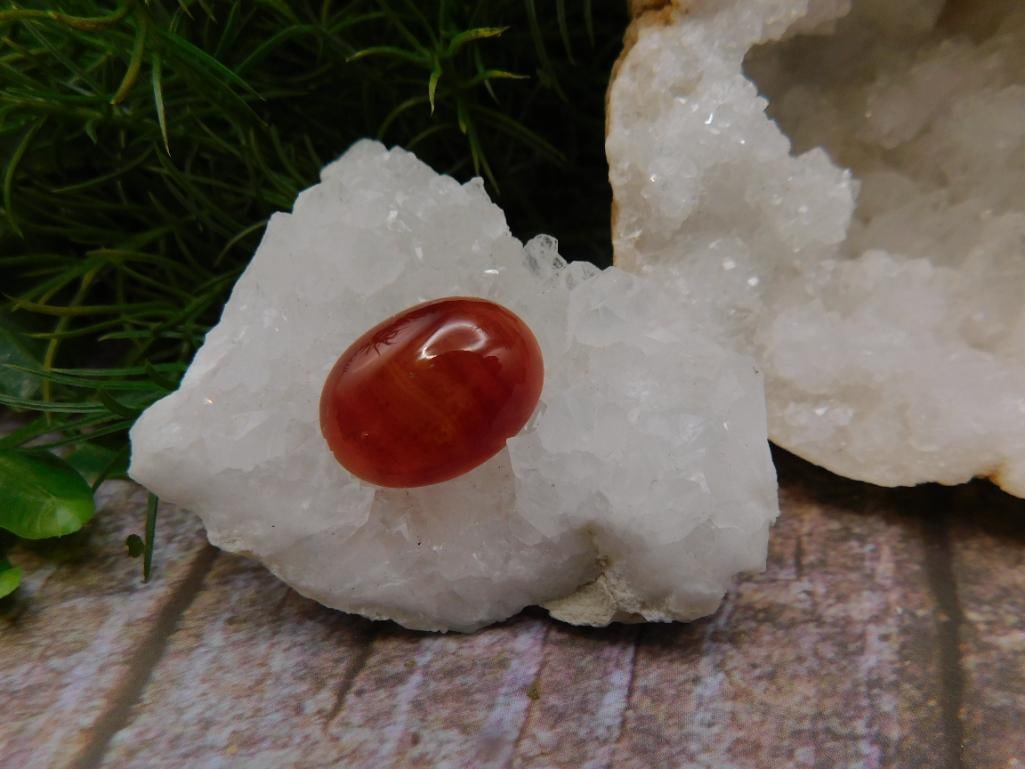 JEWELRY SALE! ROCK STONE LAPIDARY SPECIMEN: JEWELRY SALE! ROCK STONE LAPIDARY SPECIMEN