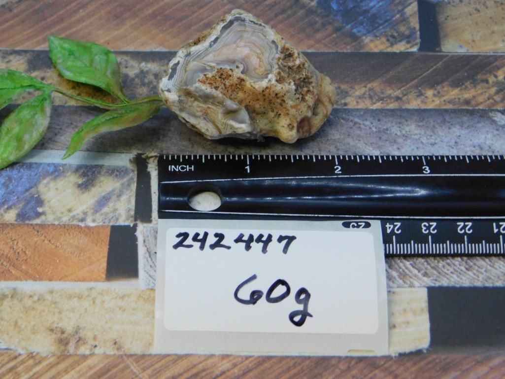 AGATE ROCK STONE LAPIDARY SPECIMEN - 2