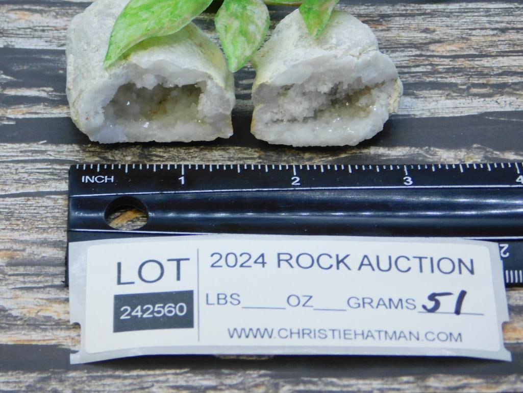 GEODE ROCK STONE LAPIDARY SPECIMEN - 2