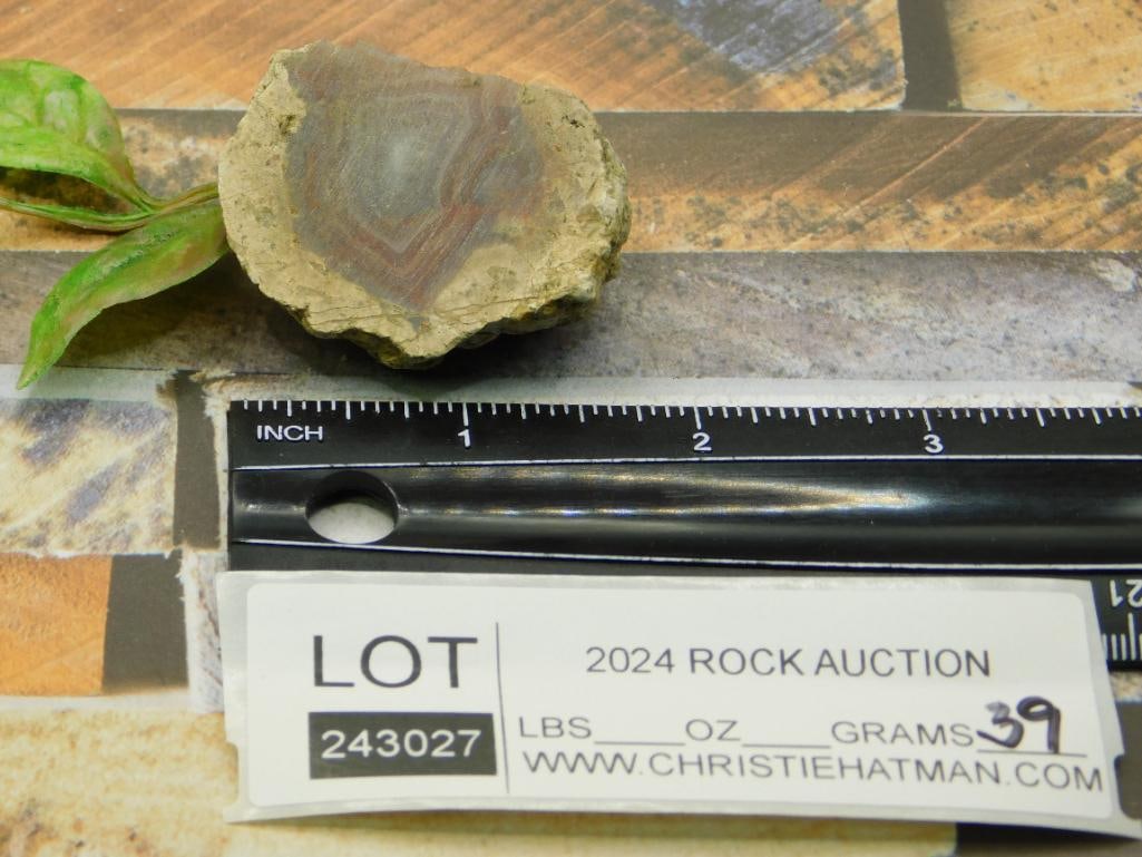 AGATE ROCK STONE LAPIDARY SPECIMEN - 2