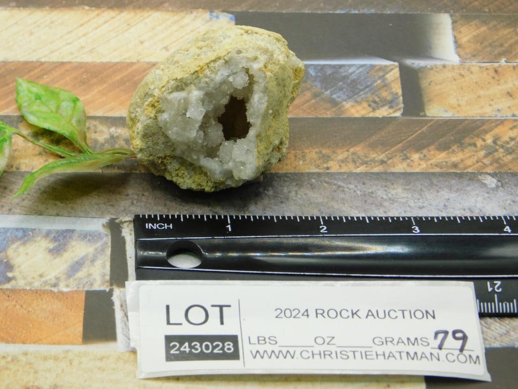 GEODE ROCK STONE LAPIDARY SPECIMEN - 2