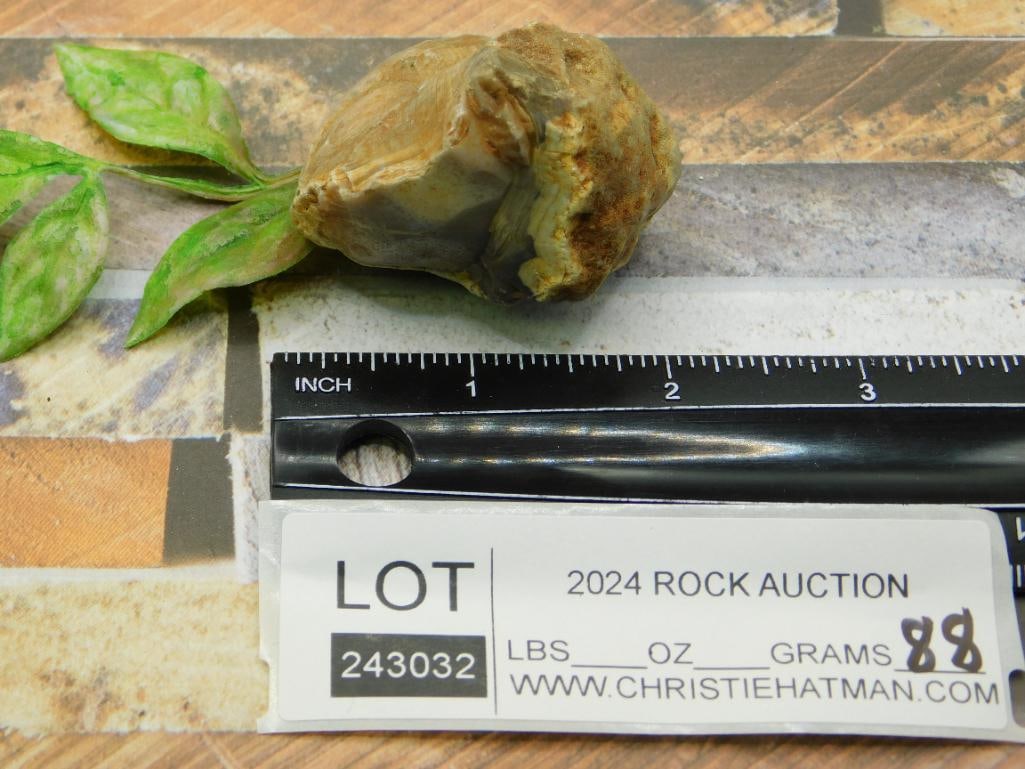 ROCK STONE LAPIDARY SPECIMEN - 2
