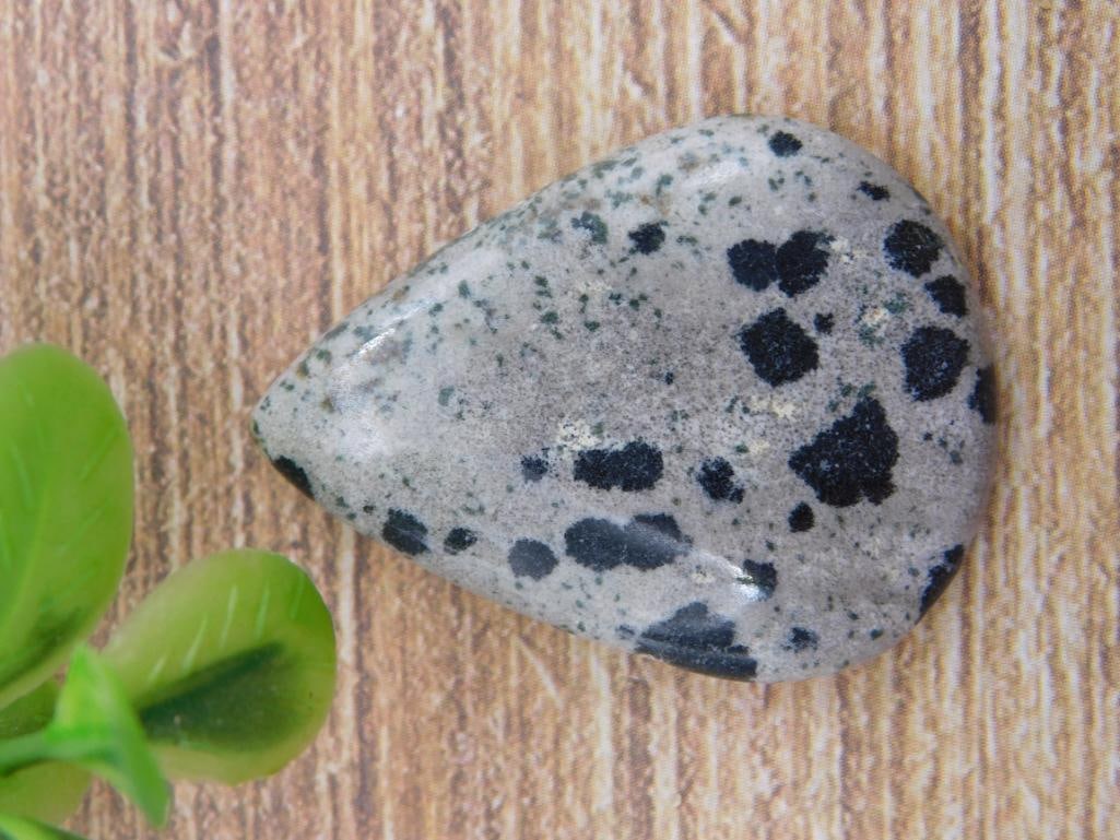 DALMATION JASPER ROCK STONE LAPIDARY SPECIMEN (1 of 2)