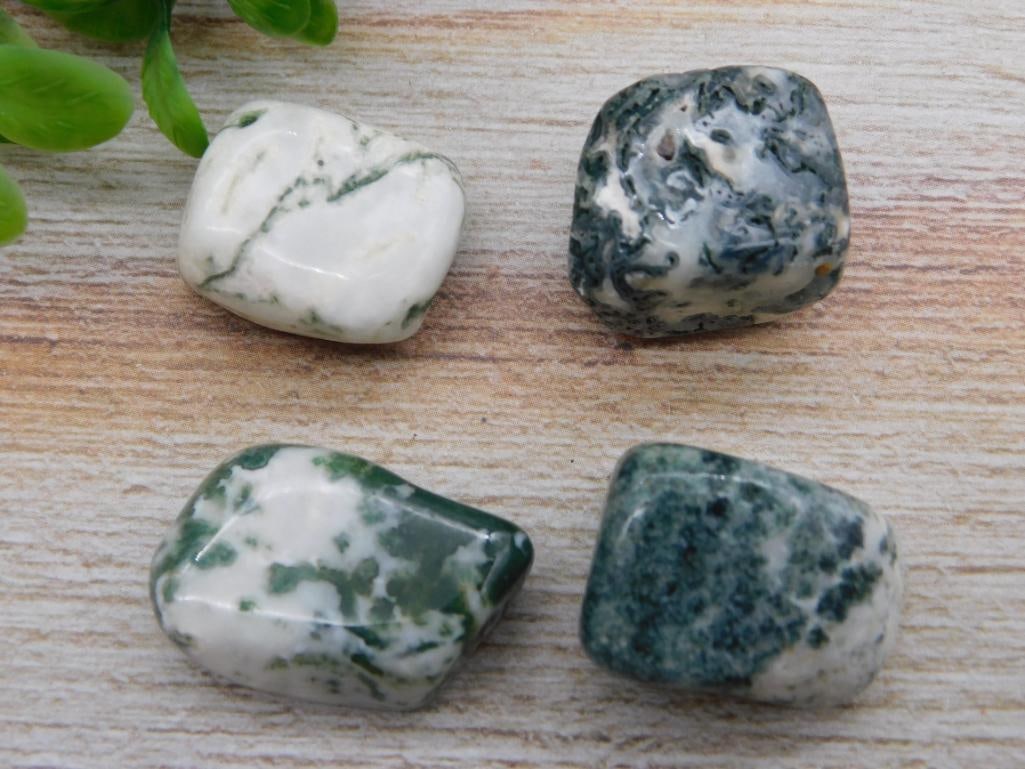 MIXED LOT ROCK STONE LAPIDARY SPECIMEN (1 of 2)