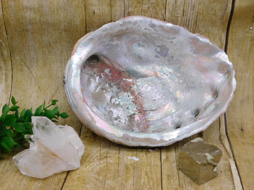 MIXED LOT ROCK STONE LAPIDARY SPECIMEN: MIXED LOT ROCK STONE LAPIDARY SPECIMEN