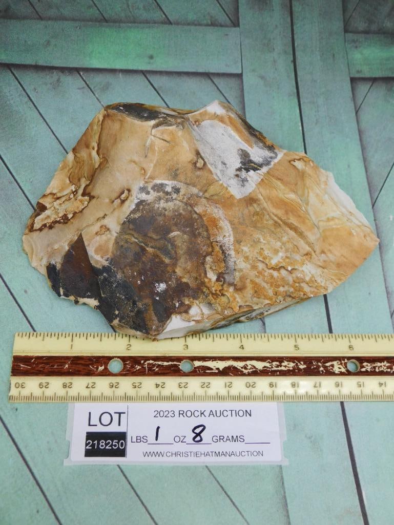 JASPER ROCK STONE LAPIDARY SPECIMEN - 2